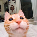 xjackpotjohn's avatar